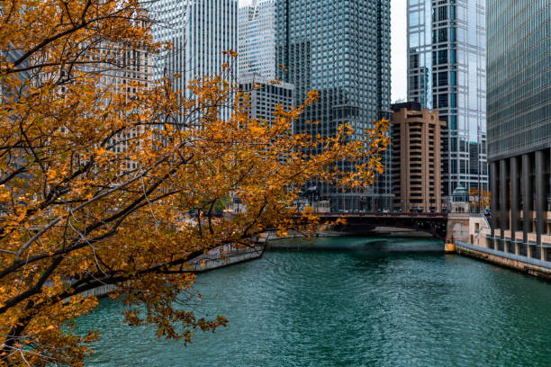 Chicago Fall Tourism: Why Should You Visit?